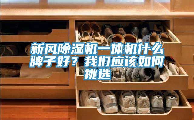 新風(fēng)除濕機(jī)一體機(jī)什么牌子好？我們應(yīng)該如何挑選