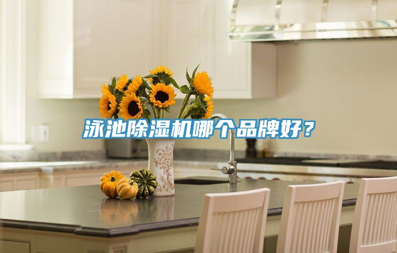 泳池除濕機哪個品牌好？
