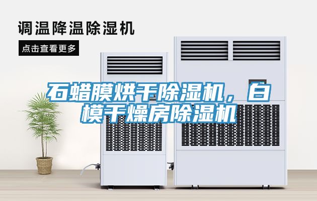 石蠟?zāi)ず娓沙凉駲C(jī)，白模干燥房除濕機(jī)