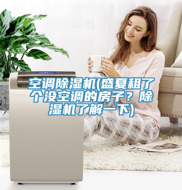 空調(diào)除濕機(jī)(盛夏租了個(gè)沒空調(diào)的房子？除濕機(jī)了解一下)