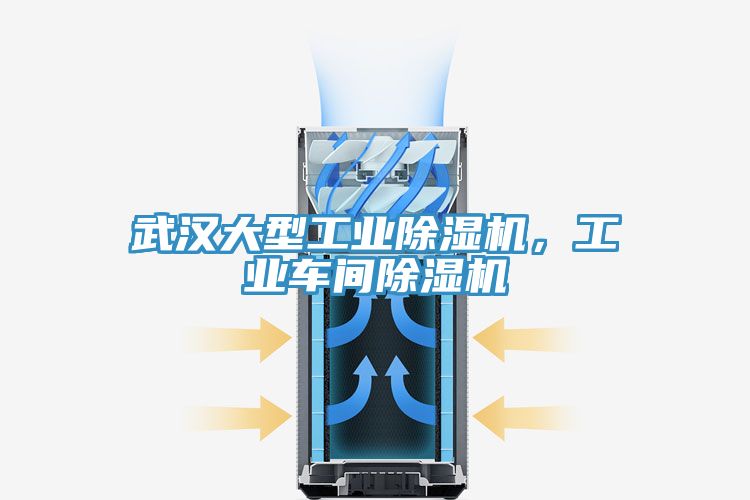 武漢大型工業(yè)除濕機(jī)，工業(yè)車間除濕機(jī)