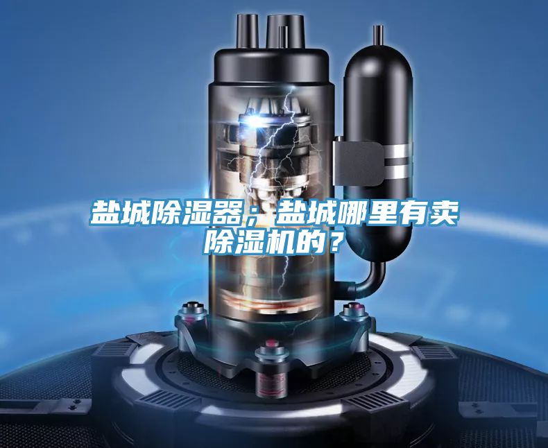 鹽城除濕器；鹽城哪里有賣除濕機(jī)的？