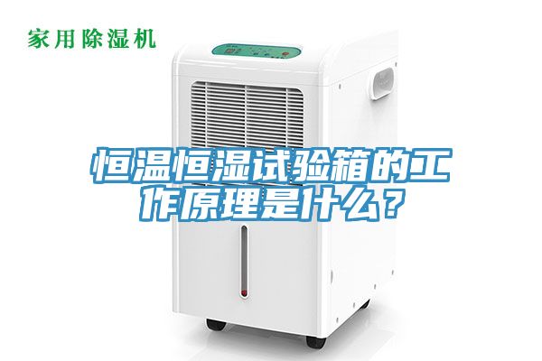 恒溫恒濕試驗(yàn)箱的工作原理是什么？