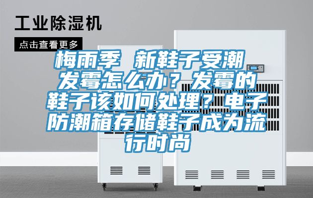 梅雨季 新鞋子受潮 發(fā)霉怎么辦？發(fā)霉的鞋子該如何處理？電子防潮箱存儲(chǔ)鞋子成為流行時(shí)尚