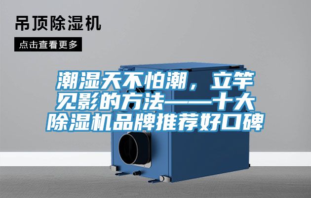 潮濕天不怕潮，立竿見影的方法——十大除濕機(jī)品牌推薦好口碑