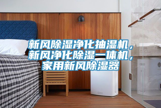 新風除濕凈化抽濕機，新風凈化除濕一體機，家用新風除濕器