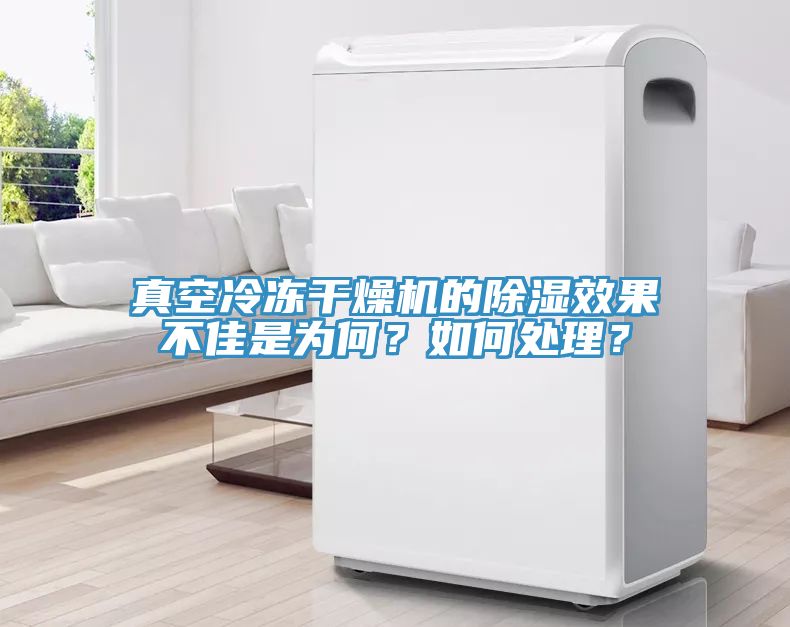 真空冷凍干燥機(jī)的除濕效果不佳是為何？如何處理？