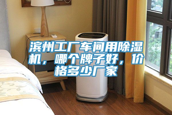濱州工廠車間用除濕機(jī)，哪個(gè)牌子好，價(jià)格多少廠家