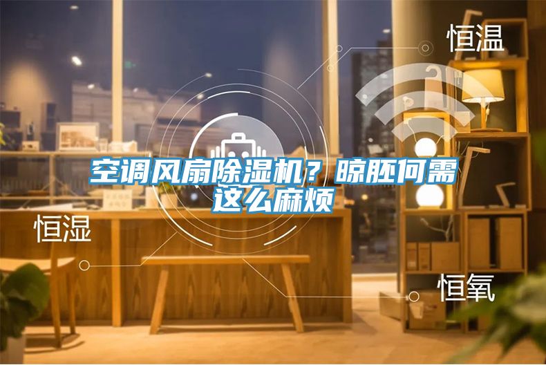 空調(diào)風(fēng)扇除濕機(jī)？晾胚何需這么麻煩