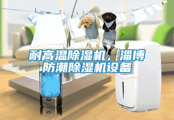 耐高溫除濕機，淄博防潮除濕機設(shè)備