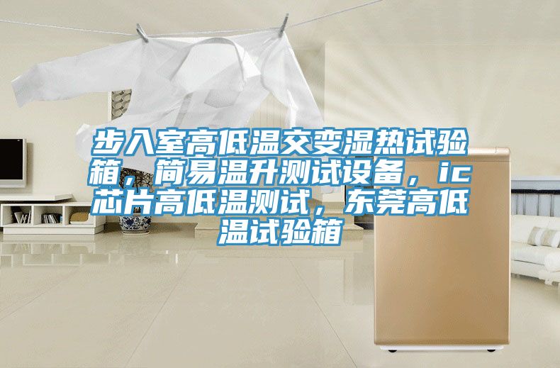步入室高低溫交變濕熱試驗(yàn)箱，簡(jiǎn)易溫升測(cè)試設(shè)備，ic芯片高低溫測(cè)試，東莞高低溫試驗(yàn)箱