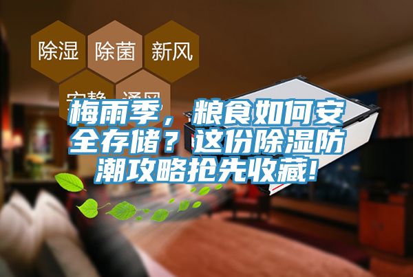 梅雨季，糧食如何安全存儲？這份除濕防潮攻略搶先收藏!