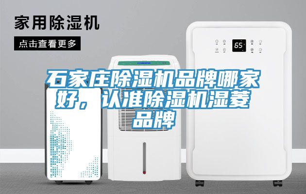 石家莊除濕機(jī)品牌哪家好，認(rèn)準(zhǔn)除濕機(jī)濕菱品牌