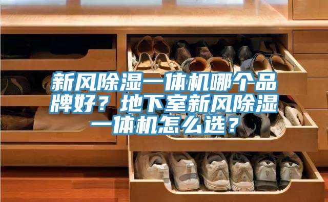 新風除濕一體機哪個品牌好？地下室新風除濕一體機怎么選？