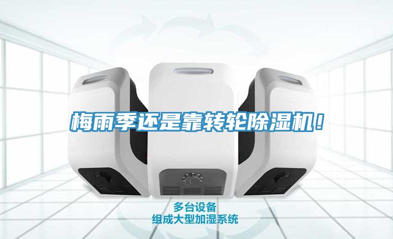 梅雨季還是靠轉(zhuǎn)輪除濕機！