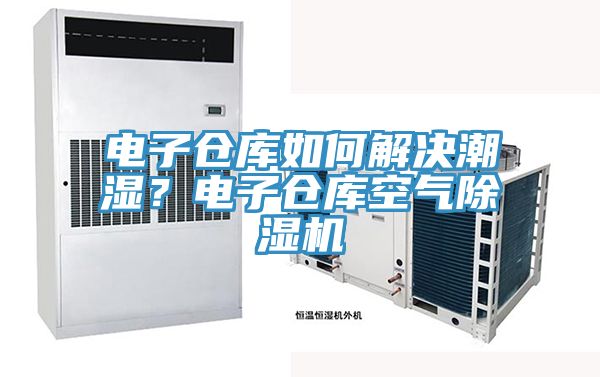 電子倉庫如何解決潮濕？電子倉庫空氣除濕機(jī)