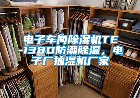 電子車間除濕機(jī)TE-138D防潮除濕，電子廠抽濕機(jī)廠家
