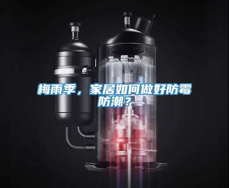 梅雨季，家居如何做好防霉防潮？