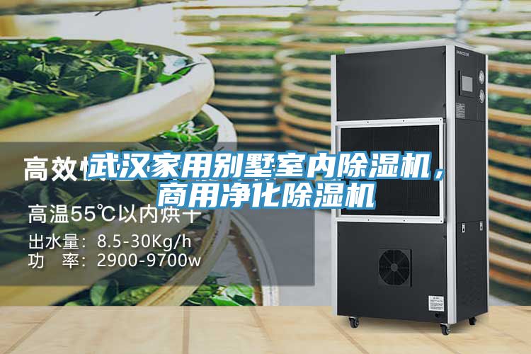 武漢家用別墅室內(nèi)除濕機(jī)，商用凈化除濕機(jī)
