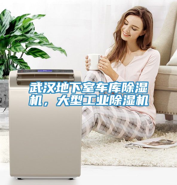 武漢地下室車庫除濕機(jī)，大型工業(yè)除濕機(jī)