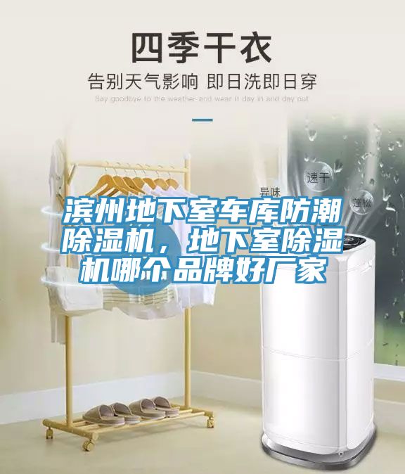 濱州地下室車庫防潮除濕機(jī)，地下室除濕機(jī)哪個(gè)品牌好廠家