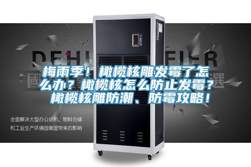 梅雨季！橄欖核雕發(fā)霉了怎么辦？橄欖核怎么防止發(fā)霉？ 橄欖核雕防潮、防霉攻略！