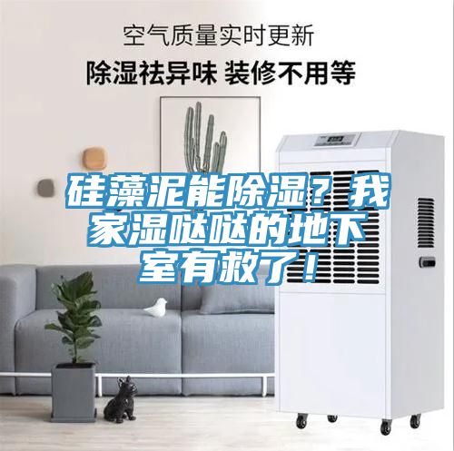 硅藻泥能除濕？我家濕噠噠的地下室有救了！