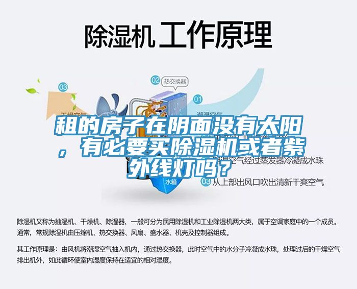 租的房子在陰面沒有太陽，有必要買除濕機(jī)或者紫外線燈嗎？