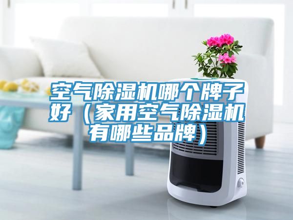 空氣除濕機(jī)哪個牌子好（家用空氣除濕機(jī)有哪些品牌）