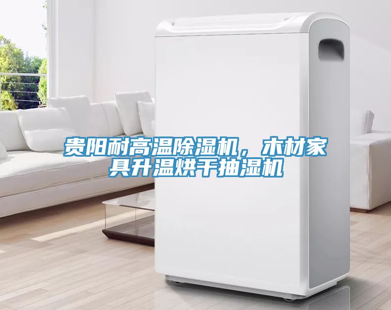 貴陽耐高溫除濕機(jī)，木材家具升溫烘干抽濕機(jī)