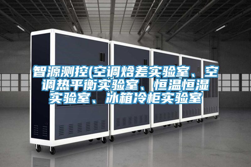 智源測控(空調(diào)焓差實(shí)驗(yàn)室、空調(diào)熱平衡實(shí)驗(yàn)室、恒溫恒濕實(shí)驗(yàn)室、冰箱冷柜實(shí)驗(yàn)室