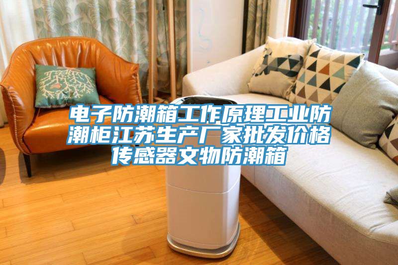 電子防潮箱工作原理工業(yè)防潮柜江蘇生產廠家批發(fā)價格傳感器文物防潮箱