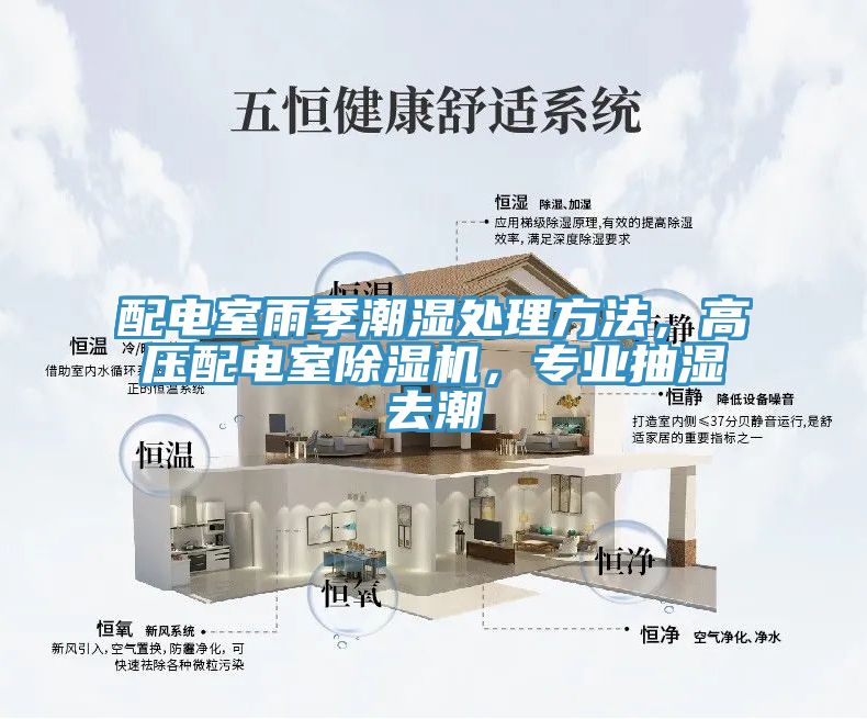 配電室雨季潮濕處理方法，高壓配電室除濕機，專業(yè)抽濕去潮