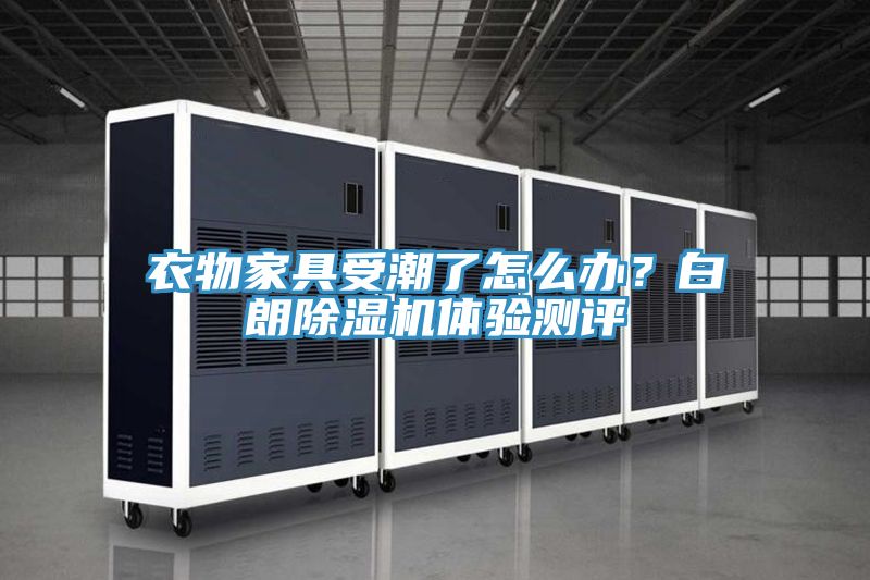 衣物家具受潮了怎么辦？白朗除濕機(jī)體驗(yàn)測(cè)評(píng)