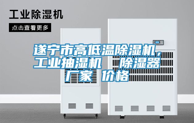 遂寧市高低溫除濕機，工業(yè)抽濕機  除濕器廠家 價格