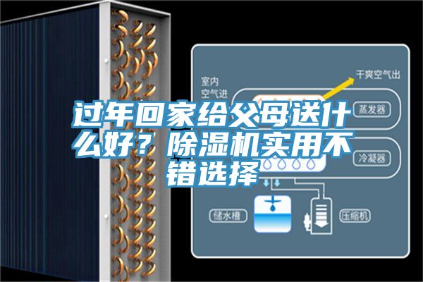 過(guò)年回家給父母送什么好？除濕機(jī)實(shí)用不錯(cuò)選擇
