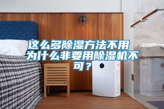 這么多除濕方法不用 為什么非要用除濕機(jī)不可？
