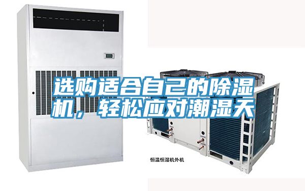 選購適合自己的除濕機，輕松應(yīng)對潮濕天