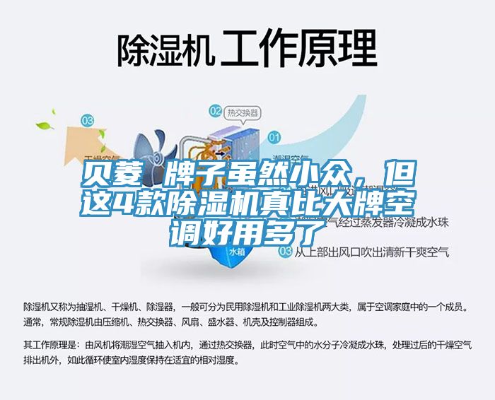 貝菱 牌子雖然小眾，但這4款除濕機(jī)真比大牌空調(diào)好用多了