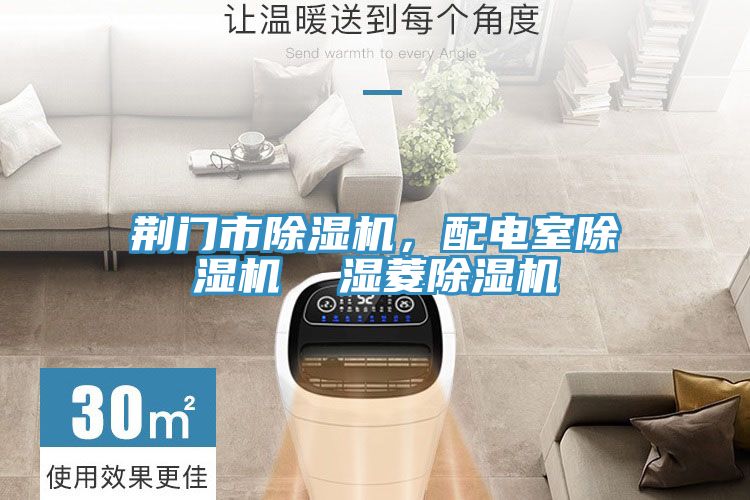 荊門(mén)市除濕機(jī)，配電室除濕機(jī)  濕菱除濕機(jī)