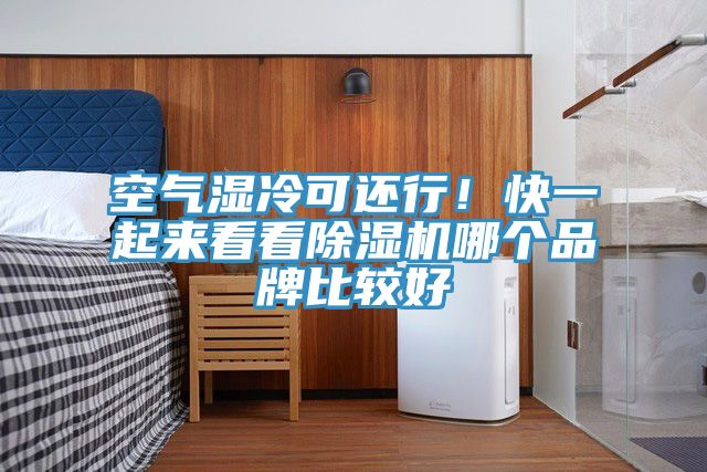 空氣濕冷可還行！快一起來看看除濕機(jī)哪個(gè)品牌比較好