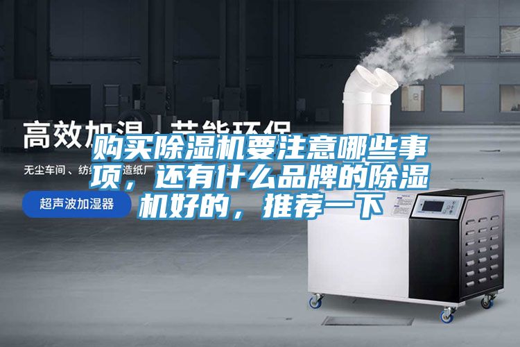 購(gòu)買除濕機(jī)要注意哪些事項(xiàng)，還有什么品牌的除濕機(jī)好的，推薦一下