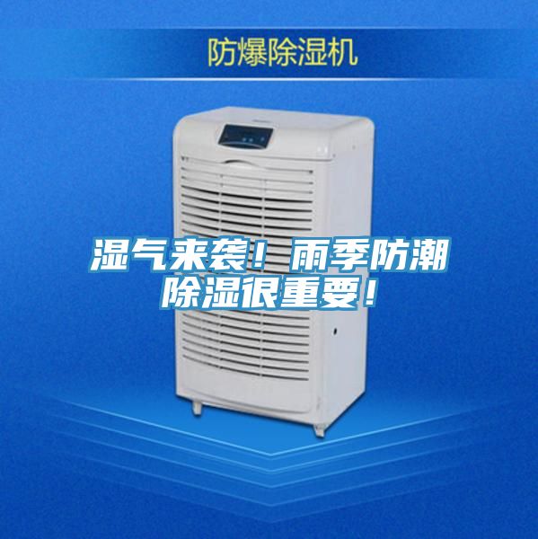 濕氣來襲！雨季防潮除濕很重要！