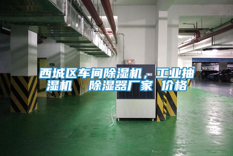 西城區(qū)車間除濕機(jī)，工業(yè)抽濕機(jī)  除濕器廠家 價(jià)格