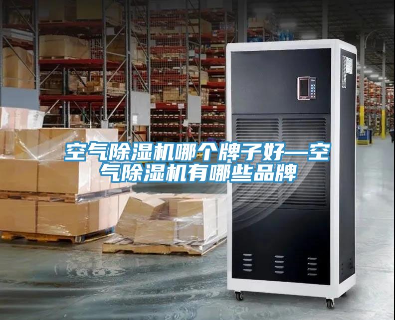 空氣除濕機(jī)哪個牌子好—空氣除濕機(jī)有哪些品牌