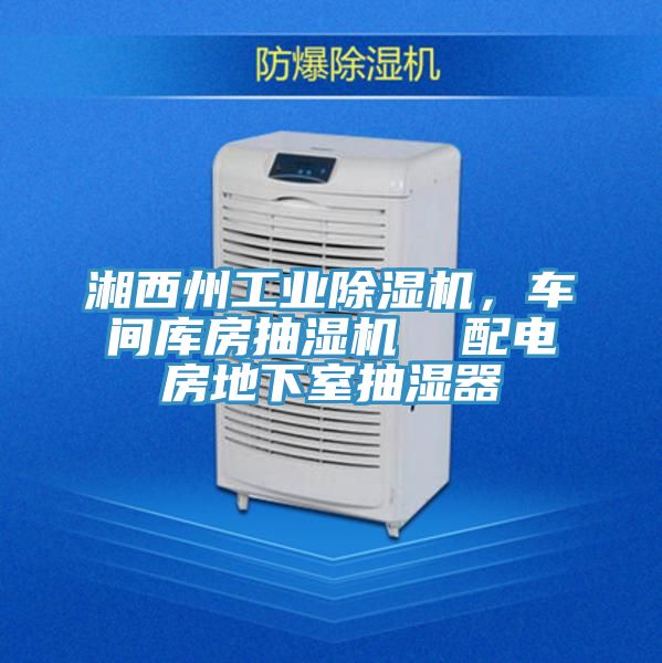 湘西州工業(yè)除濕機(jī)，車間庫房抽濕機(jī)  配電房地下室抽濕器