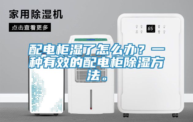 配電柜濕了怎么辦？一種有效的配電柜除濕方法。