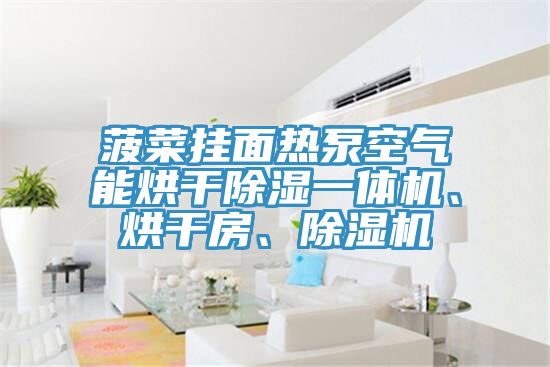 菠菜掛面熱泵空氣能烘干除濕一體機(jī)、烘干房、除濕機(jī)