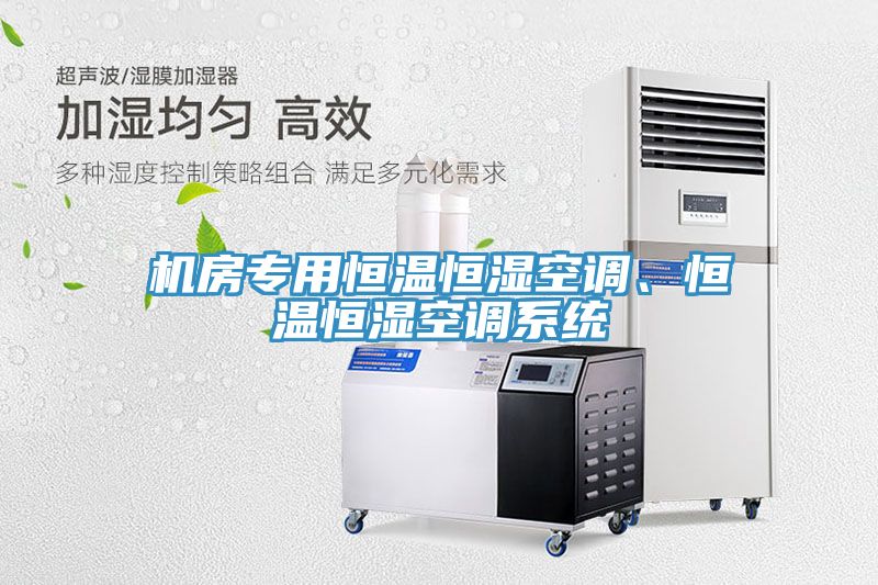機(jī)房專用恒溫恒濕空調(diào)、恒溫恒濕空調(diào)系統(tǒng)