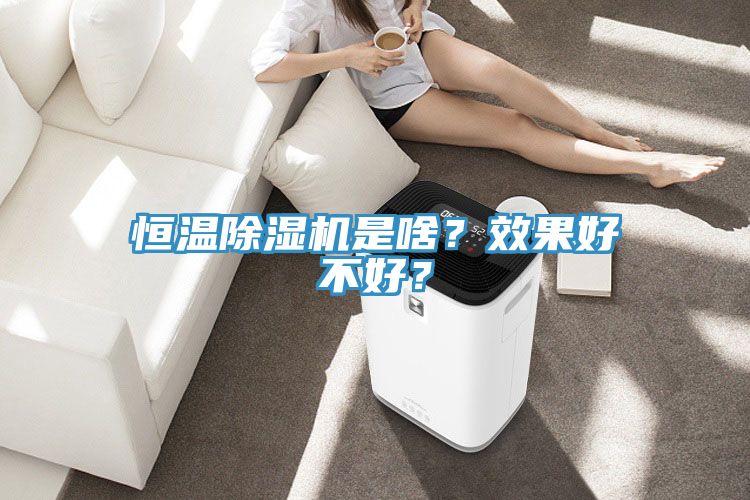 恒溫除濕機是啥？效果好不好？